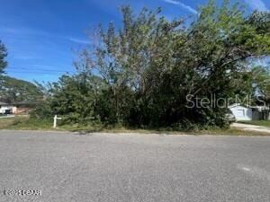 Land for sale in Volusia County, Florida