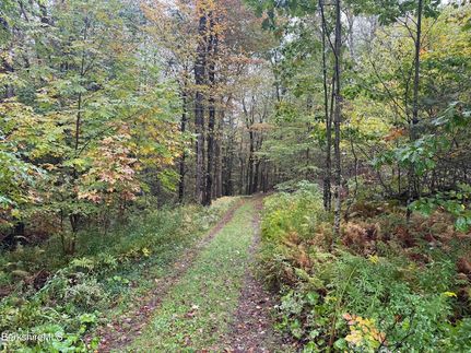 Land for sale in Berkshire County, Massachusetts