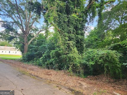 Undeveloped Land for sale in Butts County, Georgia