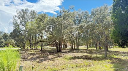 Land for sale in Citrus County, Florida