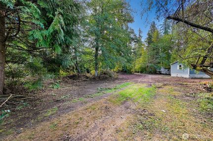 Homesite for sale in Whatcom County, Washington