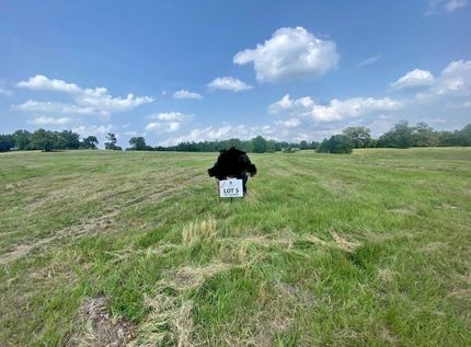 Land for sale in Upshur County, Texas