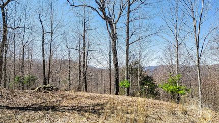 Land for sale in Madison County, North Carolina