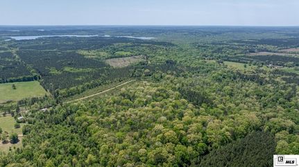 Undeveloped Land for sale in Union Parish, Louisiana