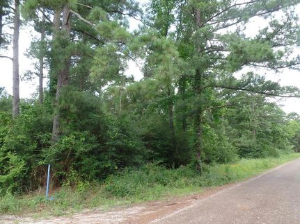 Land for sale in Shelby County, Texas