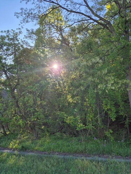 Homesite for sale in LaPorte County, Indiana