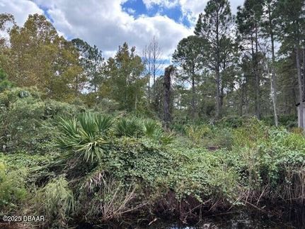Land for sale in Volusia County, Florida