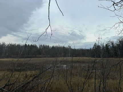 Undeveloped Land for sale in Oscoda County, Michigan