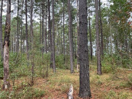 Land for sale in Marion County, South Carolina