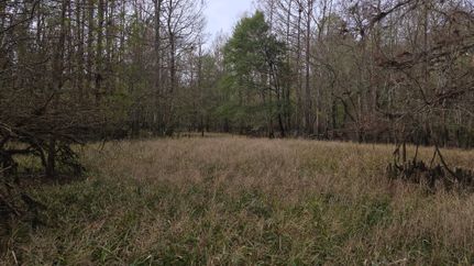 Land for sale in Pearl River County, Mississippi