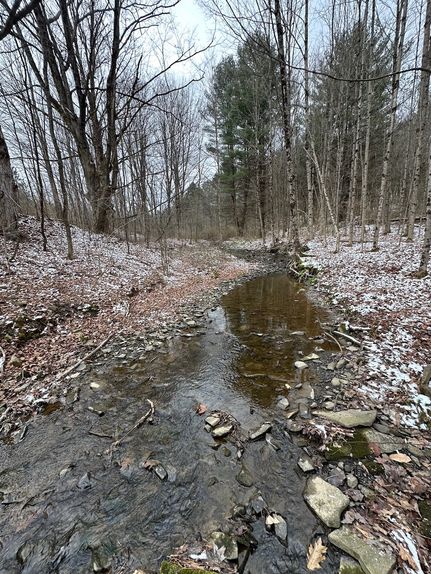 Hunting Property for sale in Broome County, New York