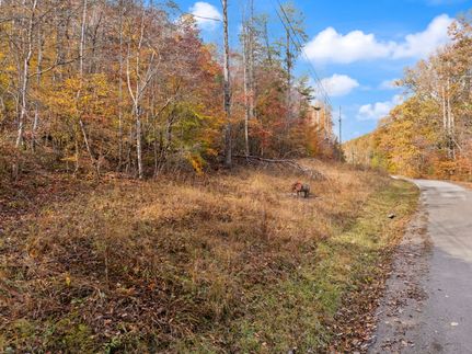 Undeveloped Land for sale in Rowan County, Kentucky
