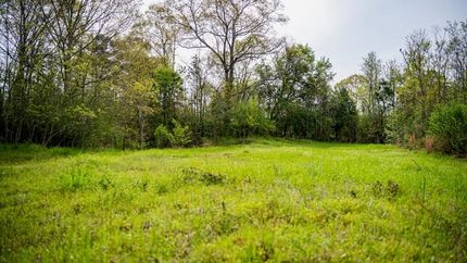 Land for sale in Wilkinson County, Mississippi