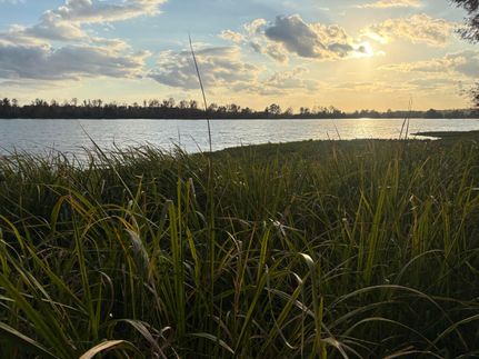 Land for sale in Wilcox County, Alabama