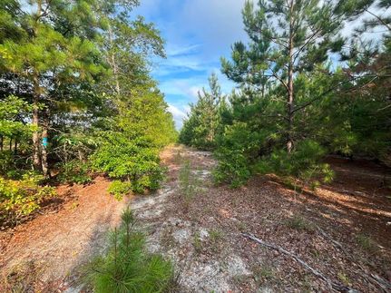 Land for sale in Aiken County, South Carolina