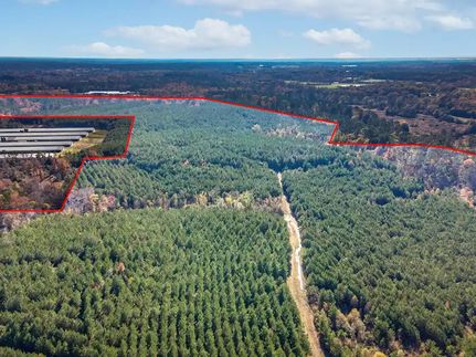 Timberland Property for sale in San Augustine County, Texas