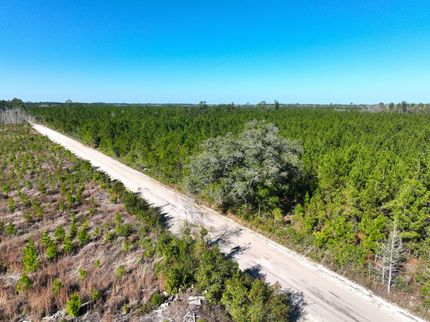 Land for sale in Camden County, Georgia