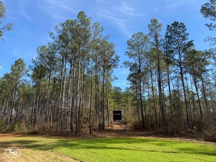 Hunting Property for sale in Pickens County, Alabama