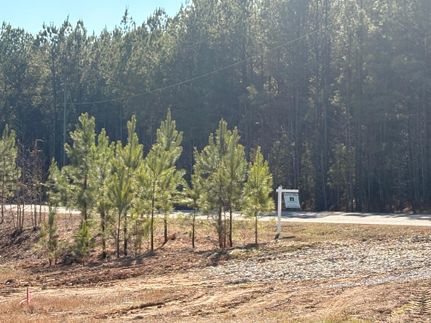 Land for sale in Shelby County, Alabama