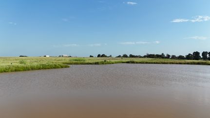 Land for sale in Lee County, Texas