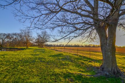 Land for sale in Rains County, Texas