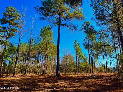 Waterfront Property for sale in Copiah County, Mississippi