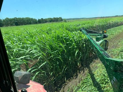 Land for sale in Coal County, Oklahoma