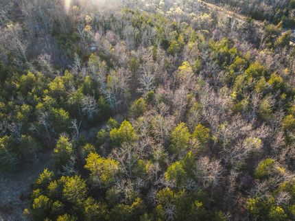 Land for sale in Texas County, Missouri