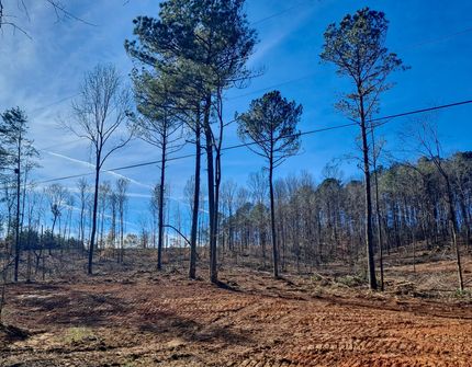 Land for sale in Walker County, Alabama