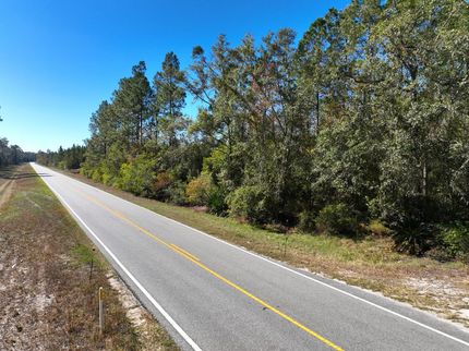 Land for sale in Brantley County, Georgia