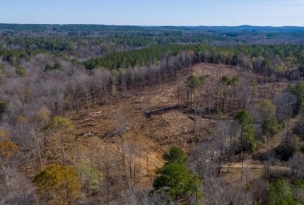 Land for sale in Walker County, Alabama