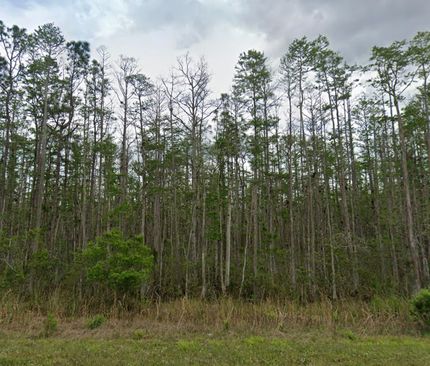 Land for sale in Volusia County, Florida