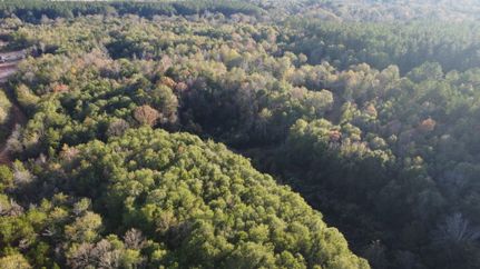 Undeveloped Land for sale in Marion County, Mississippi