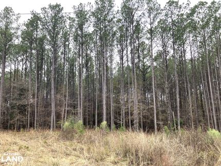Land for sale in Yalobusha County, Mississippi