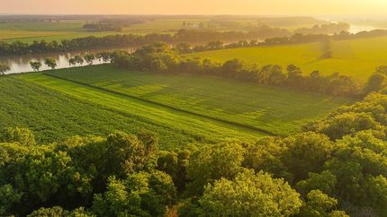 Land for sale in Van Buren County, Iowa