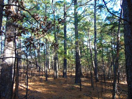 Land for sale in Le Flore County, Oklahoma