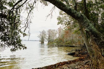 Waterfront Property for sale in Orangeburg County, South Carolina