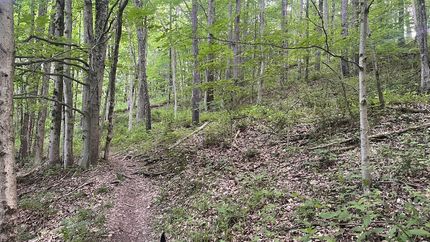 Farm and Ranch for sale in Wayne County, Ohio