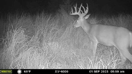 Hunting Property in Major County, Oklahoma