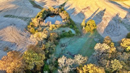 Land for sale in Mercer County, Missouri