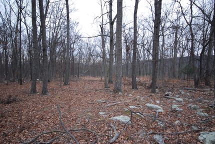 Homesite for sale in Hampshire County, West Virginia