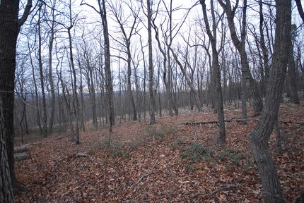 Land for sale in Hampshire County, West Virginia