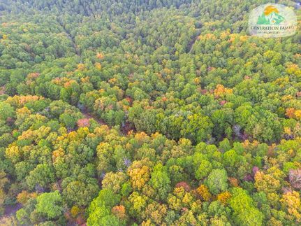 Undeveloped Land for sale in Saline County, Arkansas