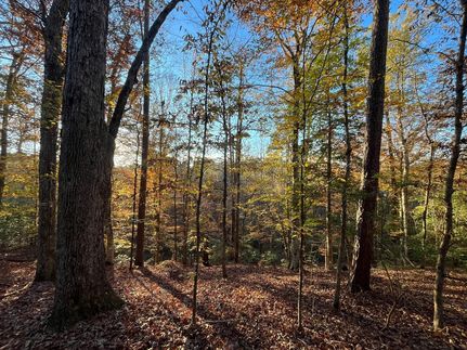 Land for sale in Union Parish, Louisiana