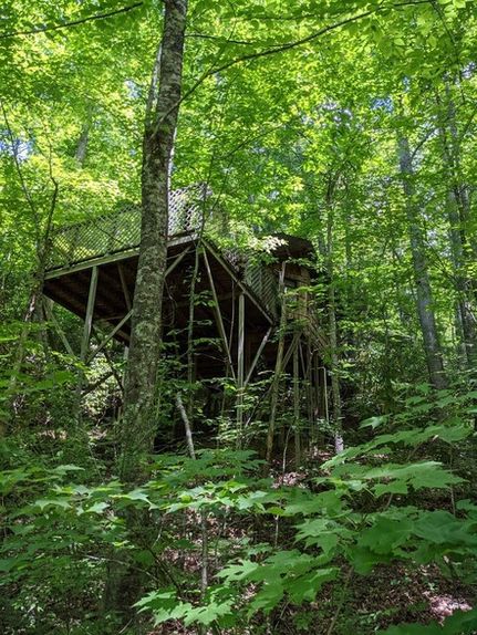 Land for sale in Graham County, North Carolina