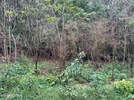 Undeveloped Land for sale in Roane County, Tennessee