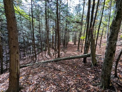 Land for sale in Steuben County, New York