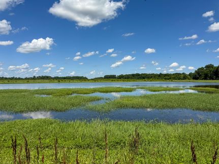 Recreational Property for sale in Lawrence County, Arkansas