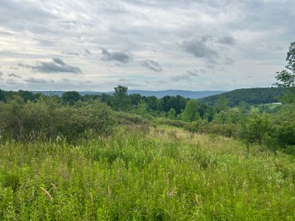 Land for sale in Otsego County, New York