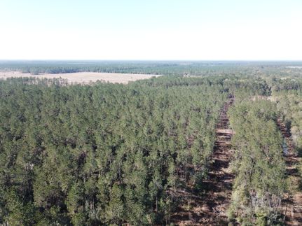 Land for sale in Hardin County, Texas